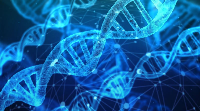 El Agua y el Cuerpo: La Esencial Conexión Vital para una Salud Óptima