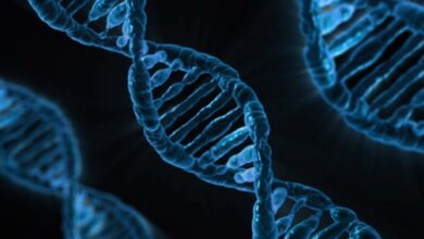 Descubrimiento de Nuevos Genes Relacionados con el Cáncer: Avances de Científicos Españoles en Investigación Genética para Mejorar Tratamientos Descubrimiento de Nuevos Genes Relacionados con el Cáncer: Avances de Científicos Españoles en Investigación Genética para Mejorar Tratamientos