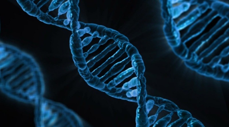 Descubrimiento de Nuevos Genes Relacionados con el Cáncer: Avances de Científicos Españoles en Investigación Genética para Mejorar Tratamientos