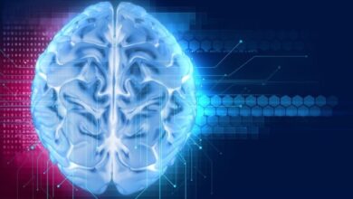 La Esencial Función del Sistema Nervioso: Clave para la Salud y el Bienestar a Largo Plazo La Esencial Función del Sistema Nervioso: Clave para la Salud y el Bienestar a Largo Plazo