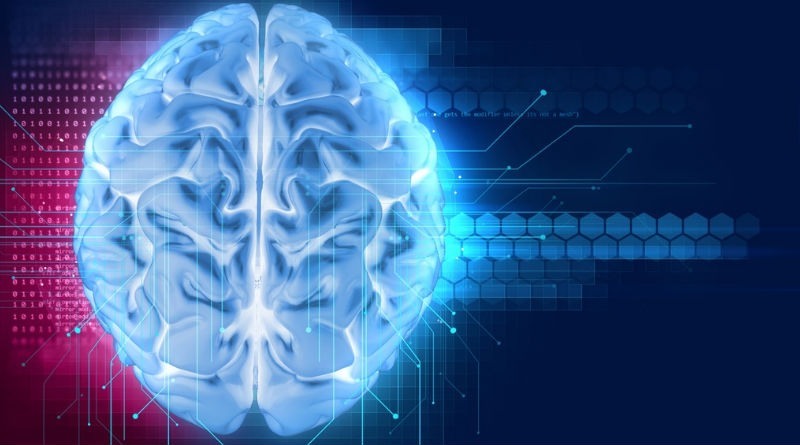 La Esencial Función del Sistema Nervioso: Clave para la Salud y el Bienestar a Largo Plazo La Esencial Función del Sistema Nervioso: Clave para la Salud y el Bienestar a Largo Plazo