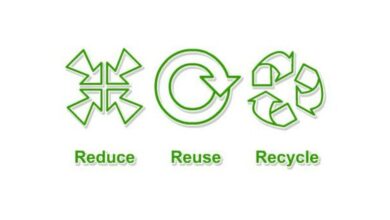 Descubre las 3 R del Medio Ambiente: Cómo Reducir, Reusar y Reciclar para un Futuro Sostenible Descubre las 3 R del Medio Ambiente: Cómo Reducir, Reusar y Reciclar para un Futuro Sostenible