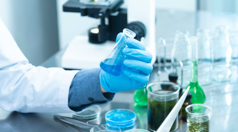 Tests Genéticos de Ancestros: ¿Por Qué los Millennials Están Optando por esta Tendencia en Búsqueda de Identidad? Tests Genéticos de Ancestros: ¿Por Qué los Millennials Están Optando por esta Tendencia en Búsqueda de Identidad?