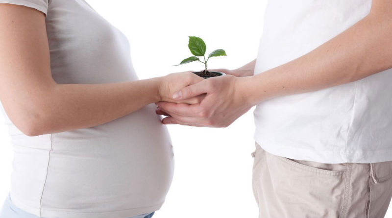 Tratamientos de Fertilidad: Historias de Éxito que Demuestran que la Perseverancia Trae Resultados